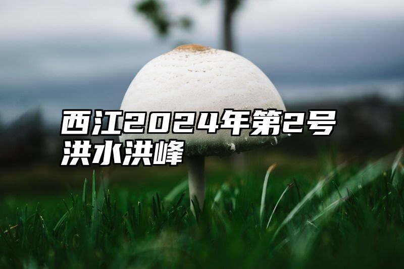 西江2024年第2号洪水洪峰