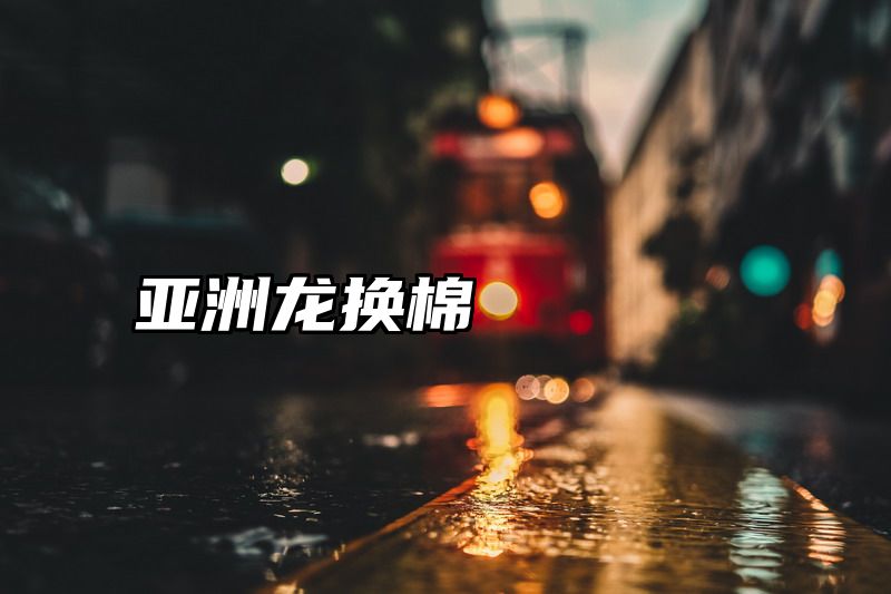 亚洲龙换棉