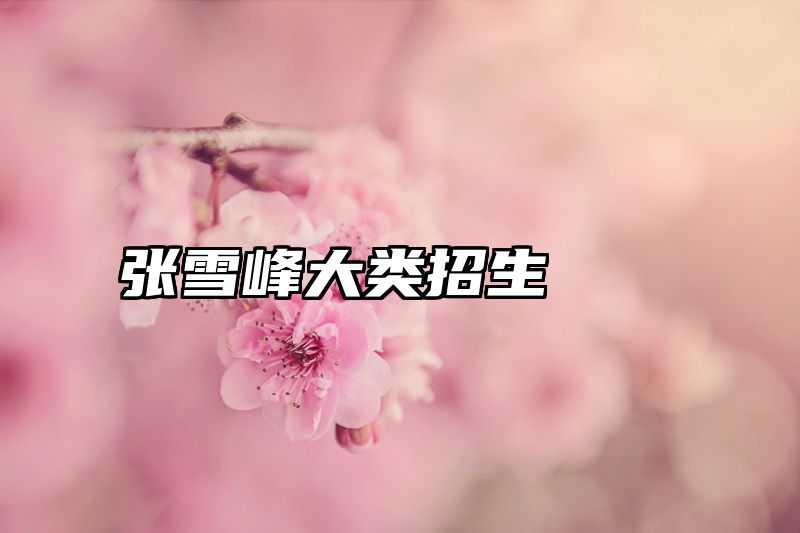 张雪峰大类招生