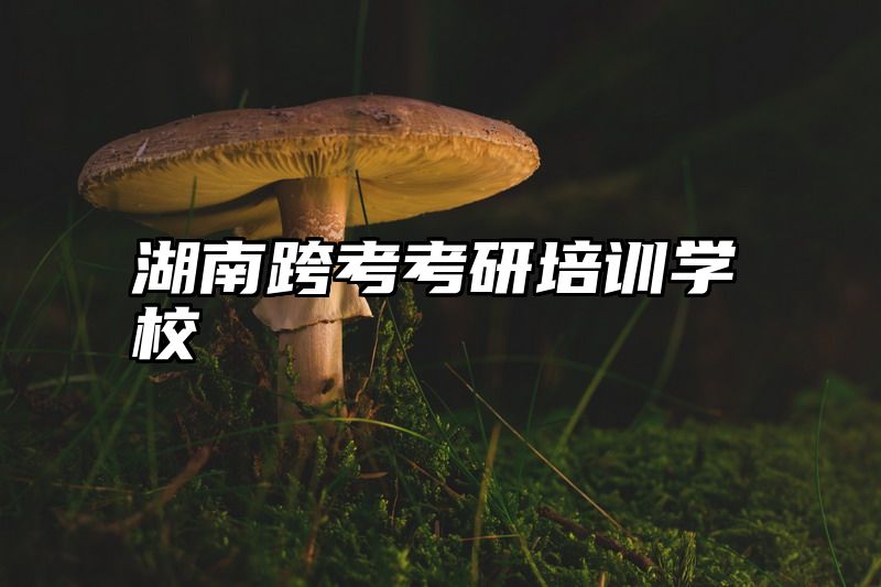 湖南跨考考研培训学校