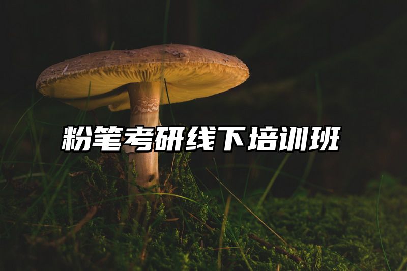 粉笔考研线下培训班