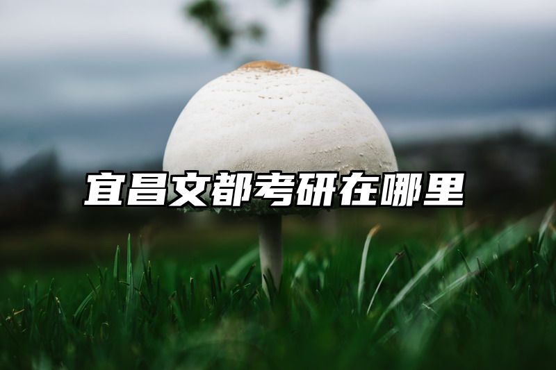 宜昌文都考研在哪里