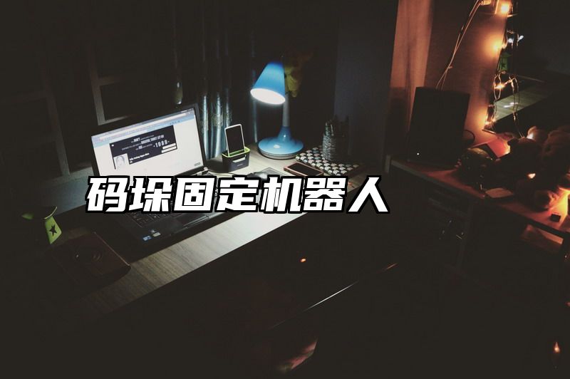码垛固定机器人
