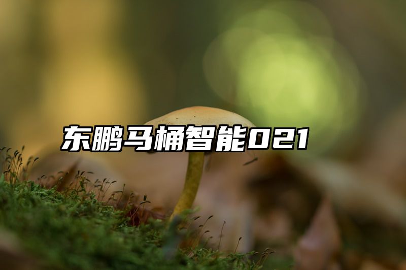 东鹏马桶智能021
