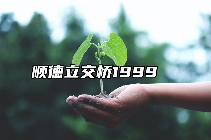 顺德立交桥1999