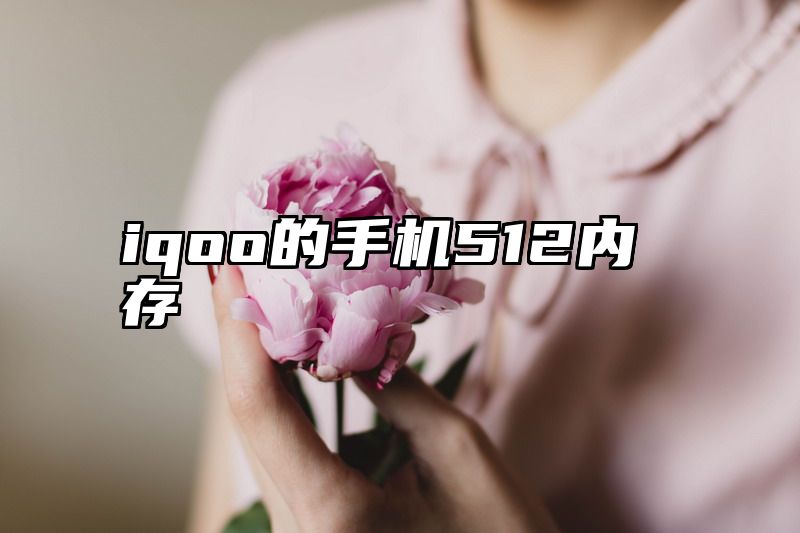 iqoo的手机512内存