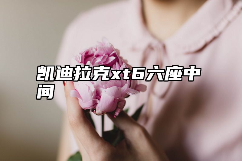 凯迪拉克xt6六座中间
