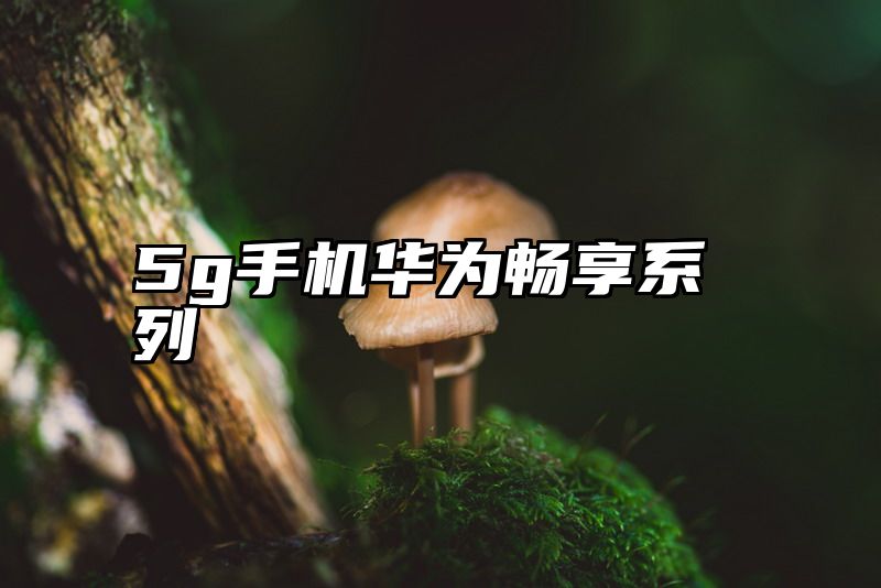 5g手机华为畅享系列