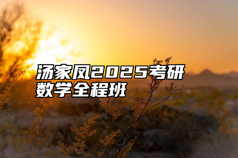 汤家凤2025考研数学全程班