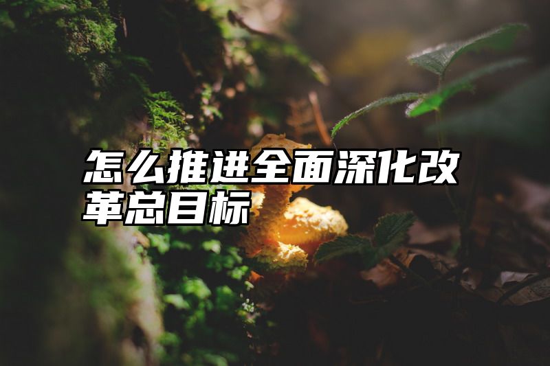 怎么推进全面深化改革总目标