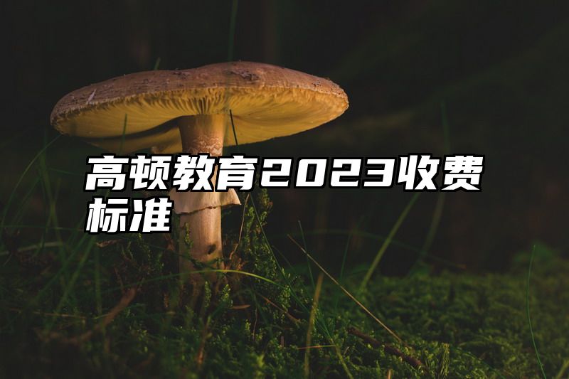 高顿教育2023收费标准