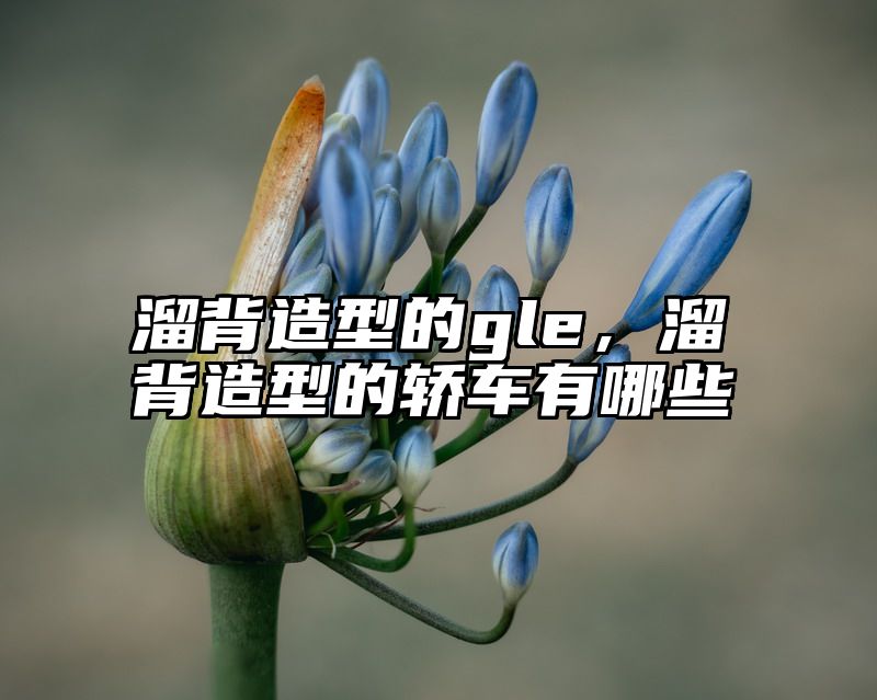 溜背造型的gle，溜背造型的轿车有哪些
