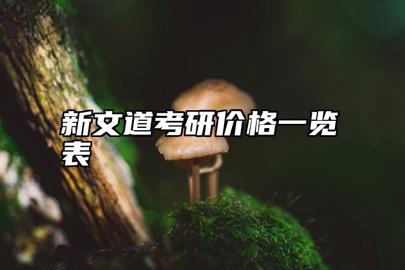新文道考研价格一览表
