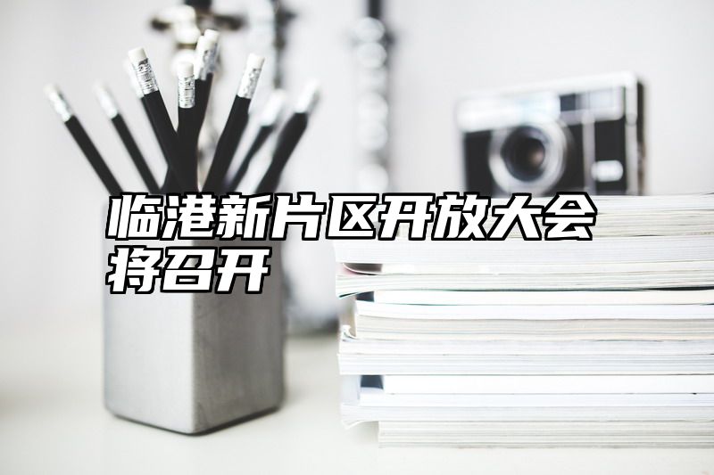 临港新片区开放大会将召开