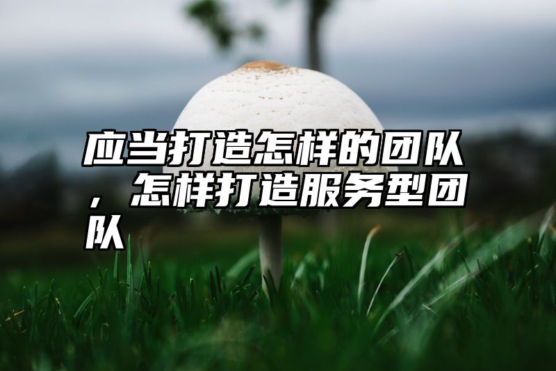 应当打造怎样的团队，怎样打造服务型团队