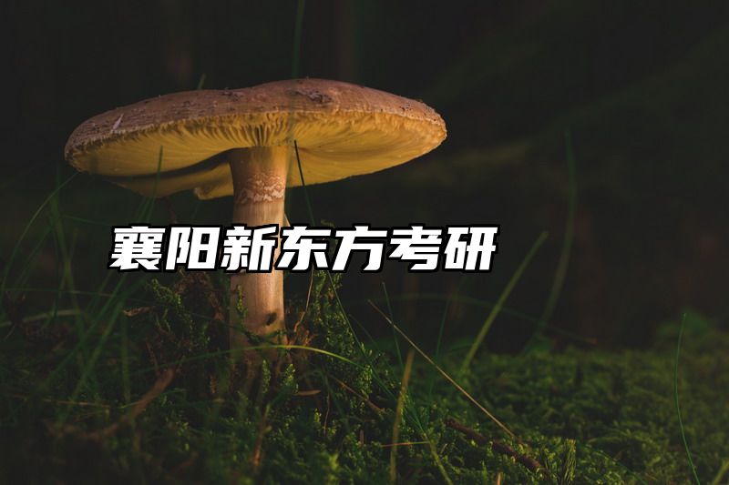 襄阳新东方考研