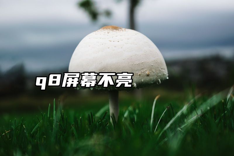 q8屏幕不亮