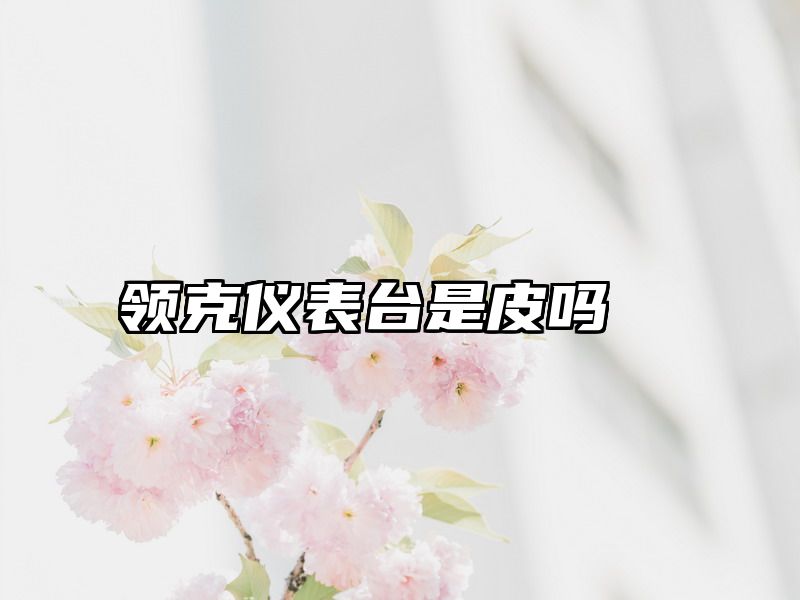 领克仪表台是皮吗