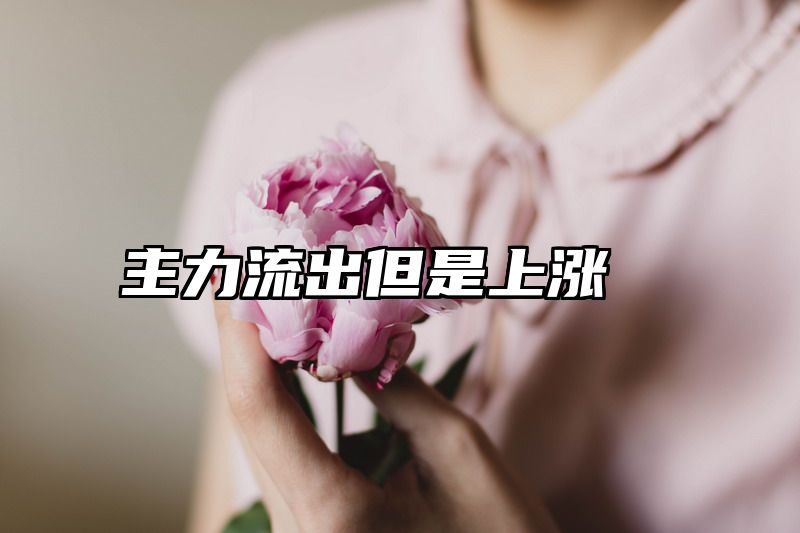 主力流出但是上涨