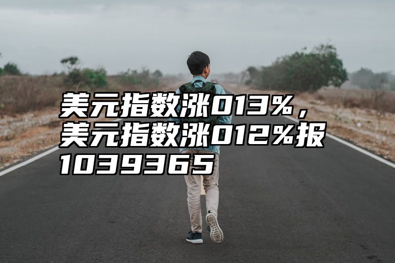 美元指数涨013%，美元指数涨012%报1039365