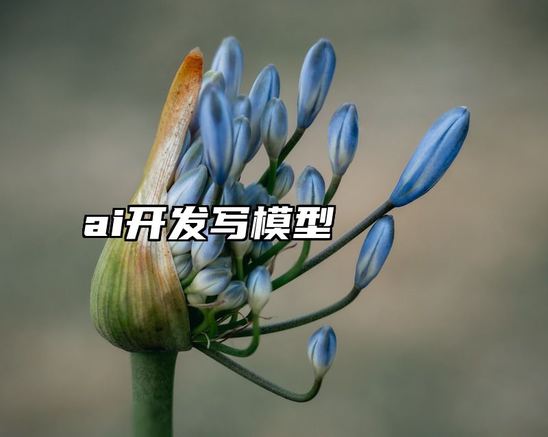 ai开发写模型