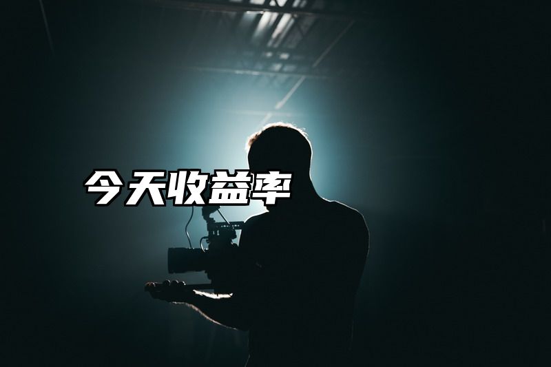 今天收益率