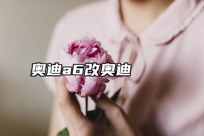 奥迪a6改奥迪