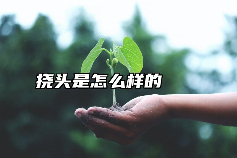 点击查看《挠头是怎么样的》全文