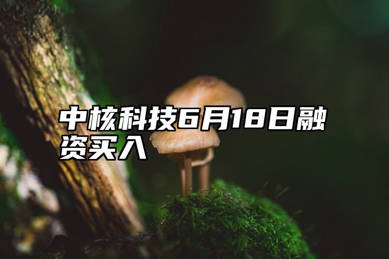 中核科技6月18日融资买入