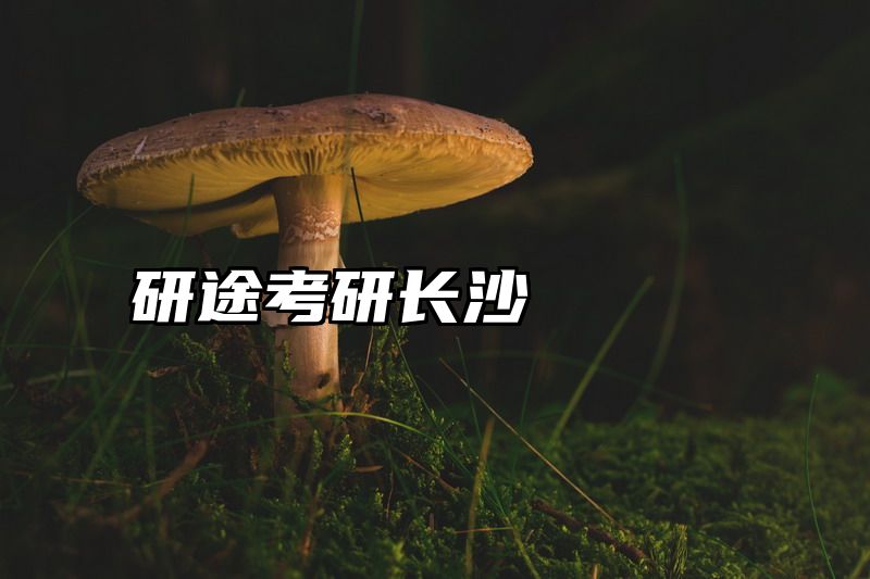 研途考研长沙
