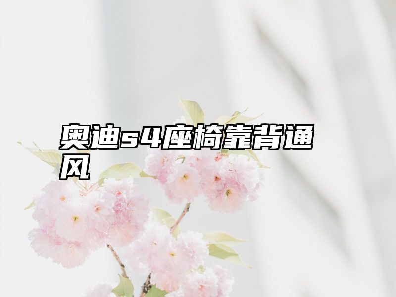 奥迪s4座椅靠背通风