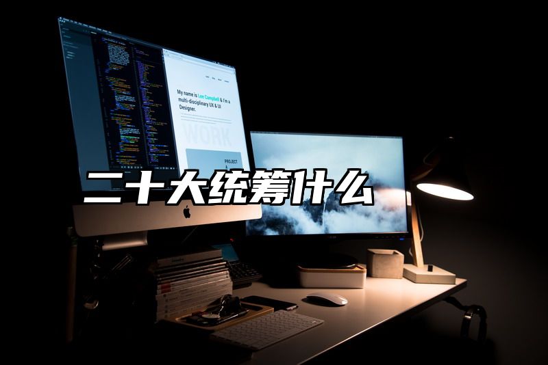 二十大统筹什么