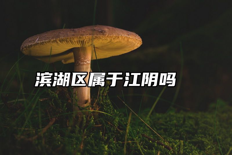 滨湖区属于江阴吗