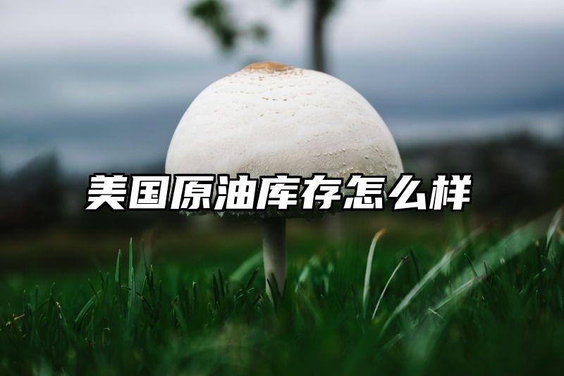 美国原油库存怎么样