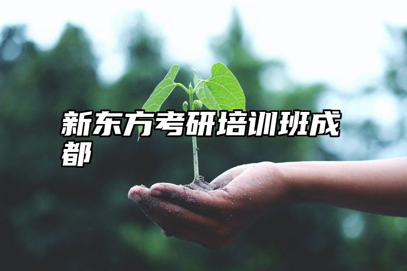 新东方考研培训班成都