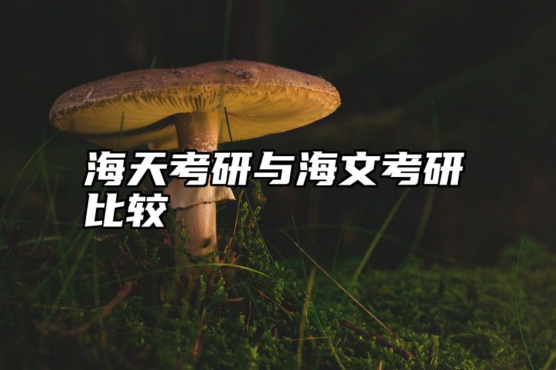 海天考研与海文考研比较