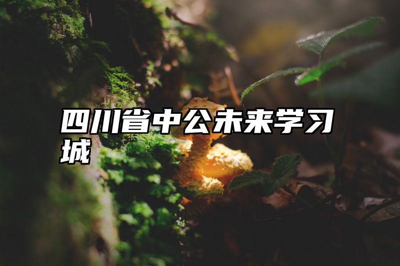 四川省中公未来学习城