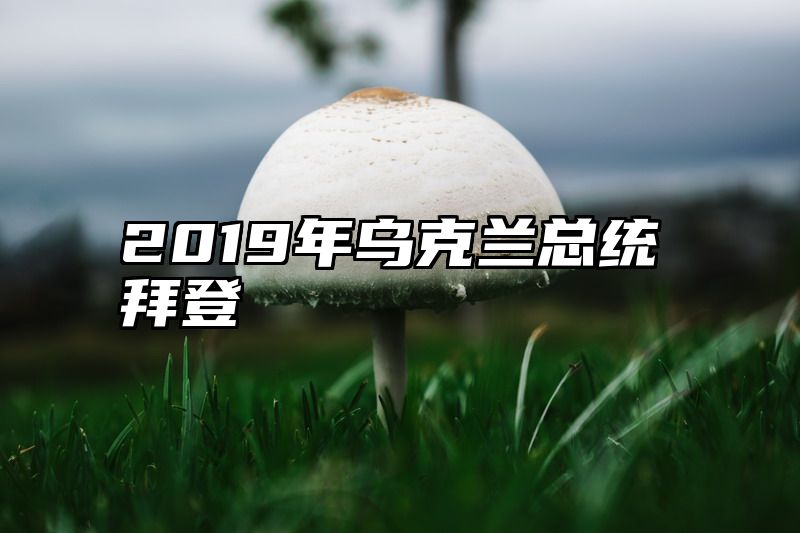 2019年乌克兰总统拜登