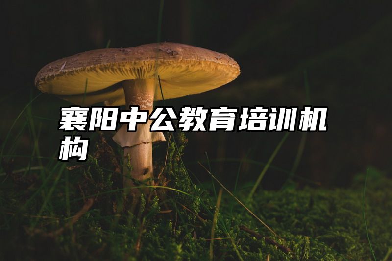 襄阳中公教育培训机构