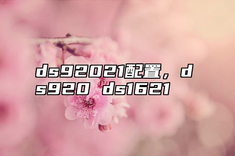 ds92021配置，ds920 ds1621