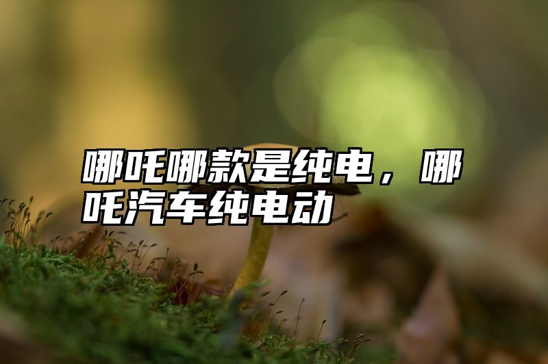 哪吒哪款是纯电，哪吒汽车纯电动