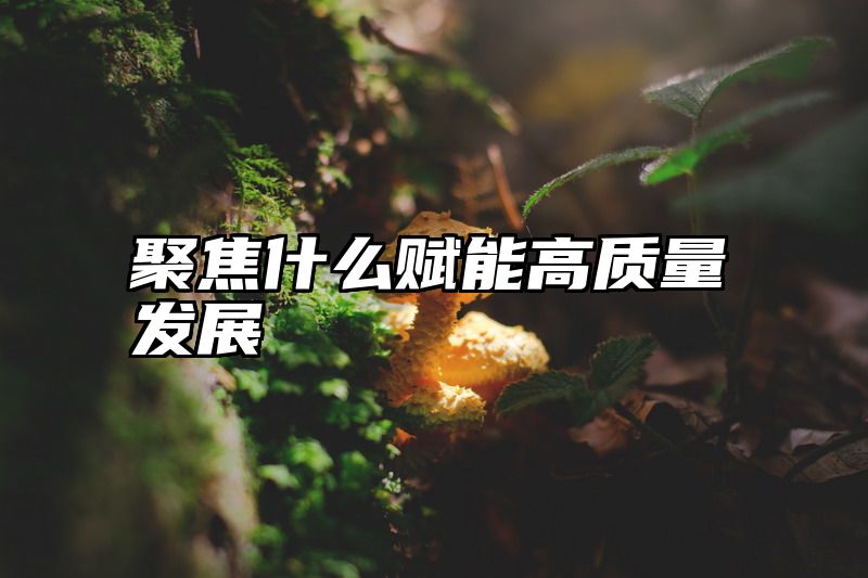 聚焦什么赋能高质量发展