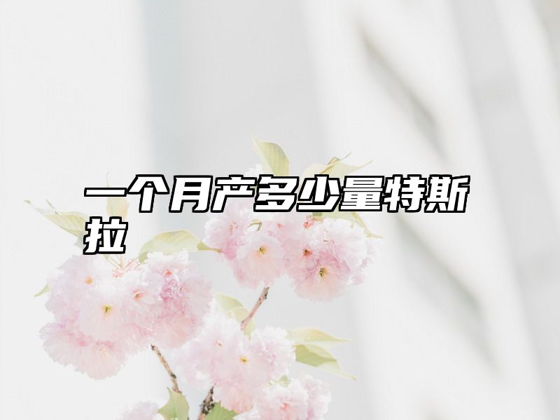 一个月产多少量特斯拉
