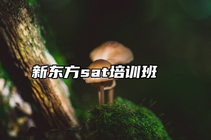 新东方sat培训班