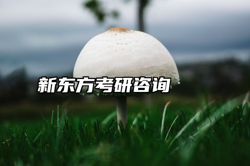 新东方考研咨询