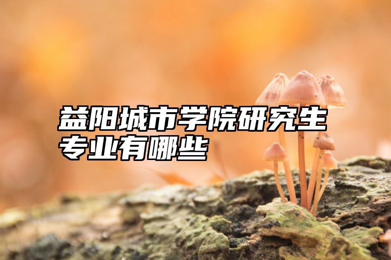益阳城市学院研究生专业有哪些