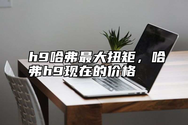 h9哈弗最大扭矩，哈弗h9现在的价格