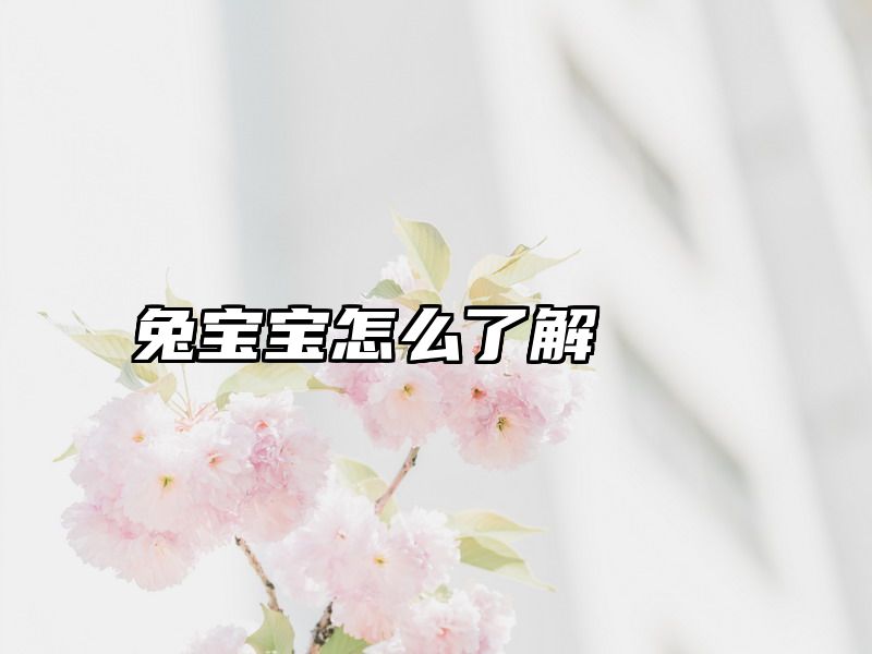 兔宝宝怎么了解