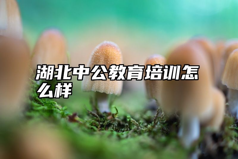 湖北中公教育培训怎么样