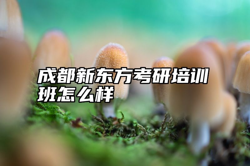 成都新东方考研培训班怎么样